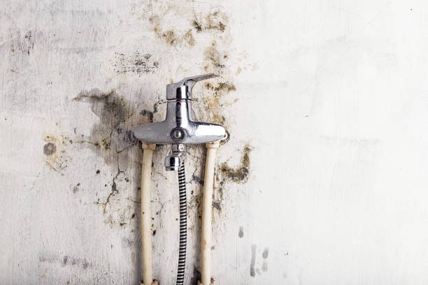 Best Water Damage Restoration  in Home, WA