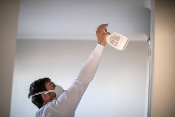 Home, WA Mold Removal Company