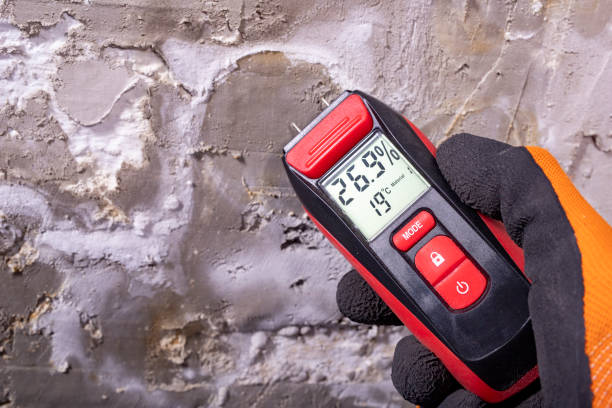 Best Mold Remediation  in Home, WA