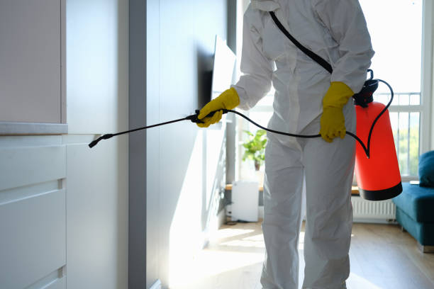 Best Attic Mold Removal  in Home, WA