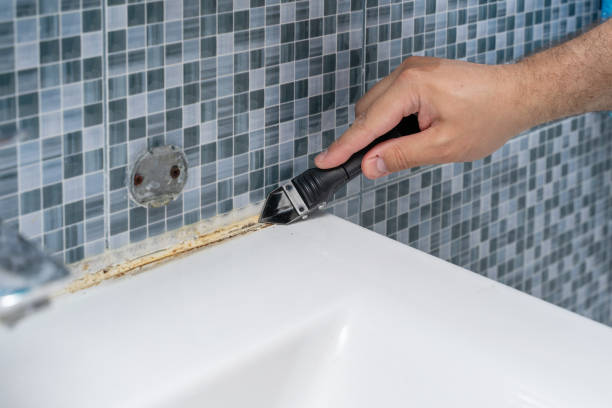 Best Commercial Mold Removal  in Home, WA