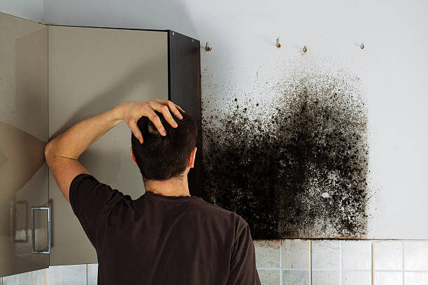 Best Crawl Space Mold Removal  in Home, WA